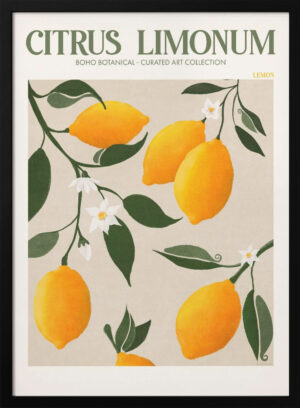 Citrus Limonum Plakat