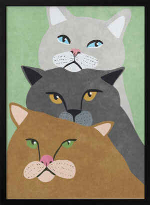 Cat Trio